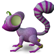 Mossm Rafaelita Seedling
