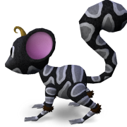 Mossm *Rolando