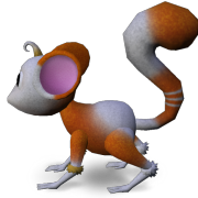 Mossm Pet Adrianne